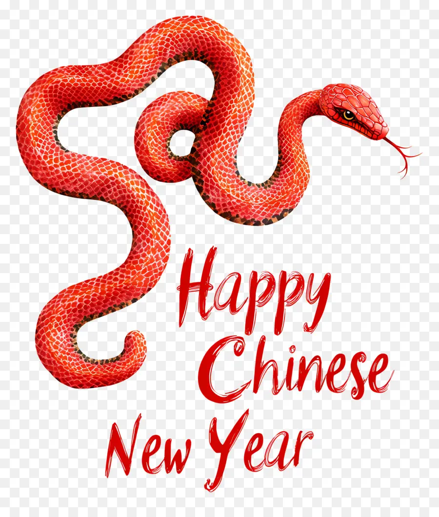 Nouvel An Chinois，Serpent Rouge PNG