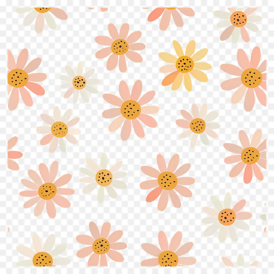 Motif De Marguerite，Marguerites PNG