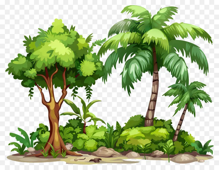 Grand Arbre，Arbres Verts PNG