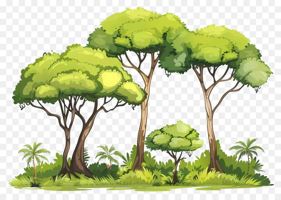 Grand Arbre，Arbres Verts PNG