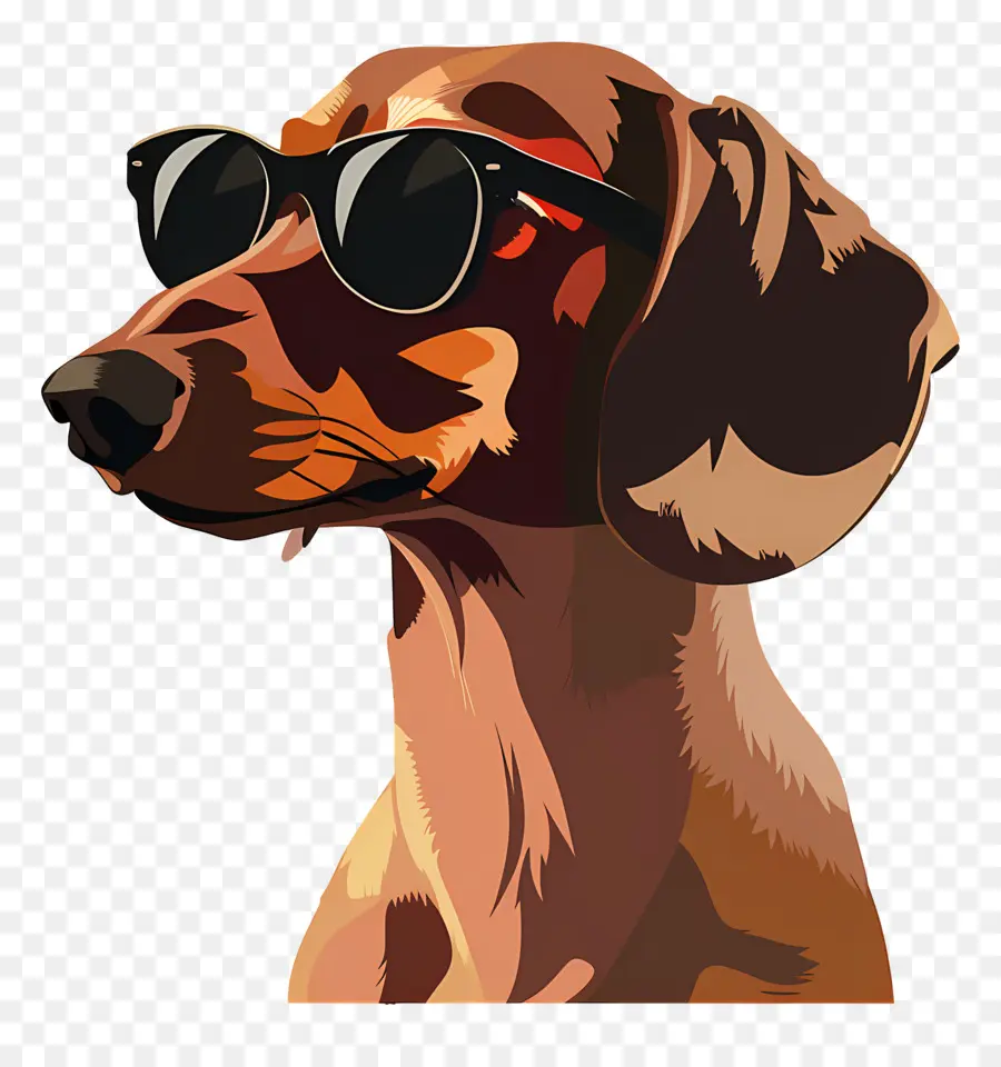 Chien Animé，Chien Avec Des Lunettes De Soleil PNG