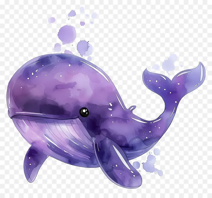 Baleine Aquarelle，Baleine Violette PNG