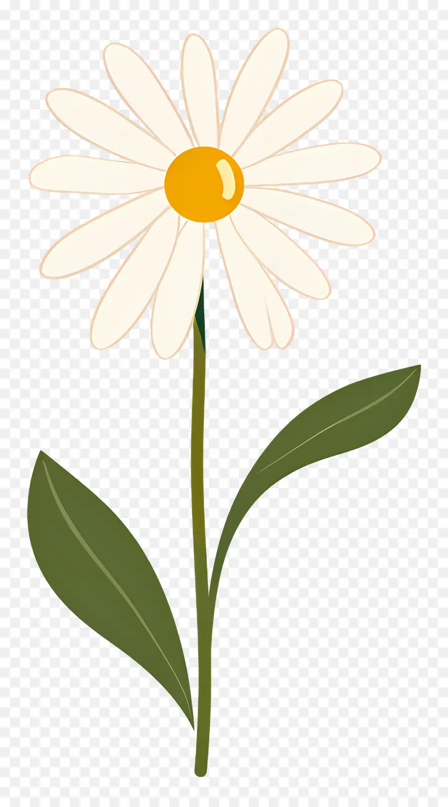 Fleur Unique，Marguerite Simple PNG