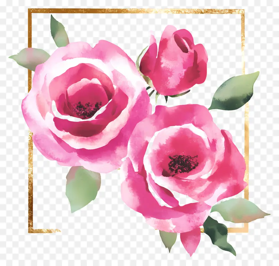 Cadre Doré，Roses Roses PNG