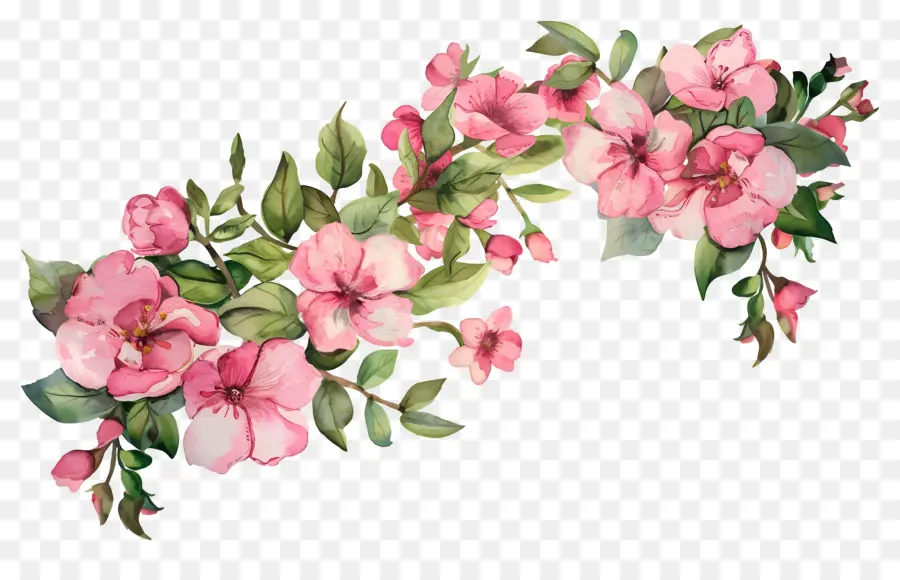 Fond De Fleurs Tropicales，Fleurs PNG