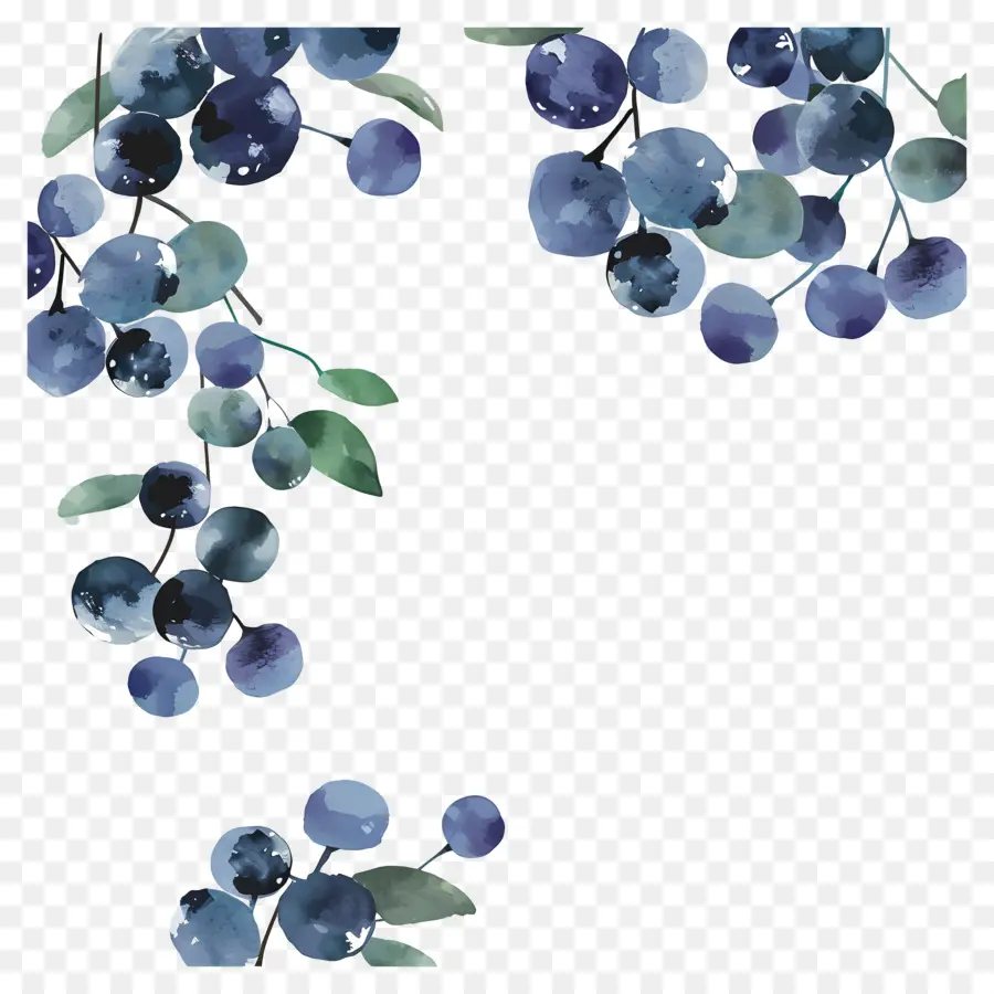 Bleuets Aquarelle，Bleuets PNG