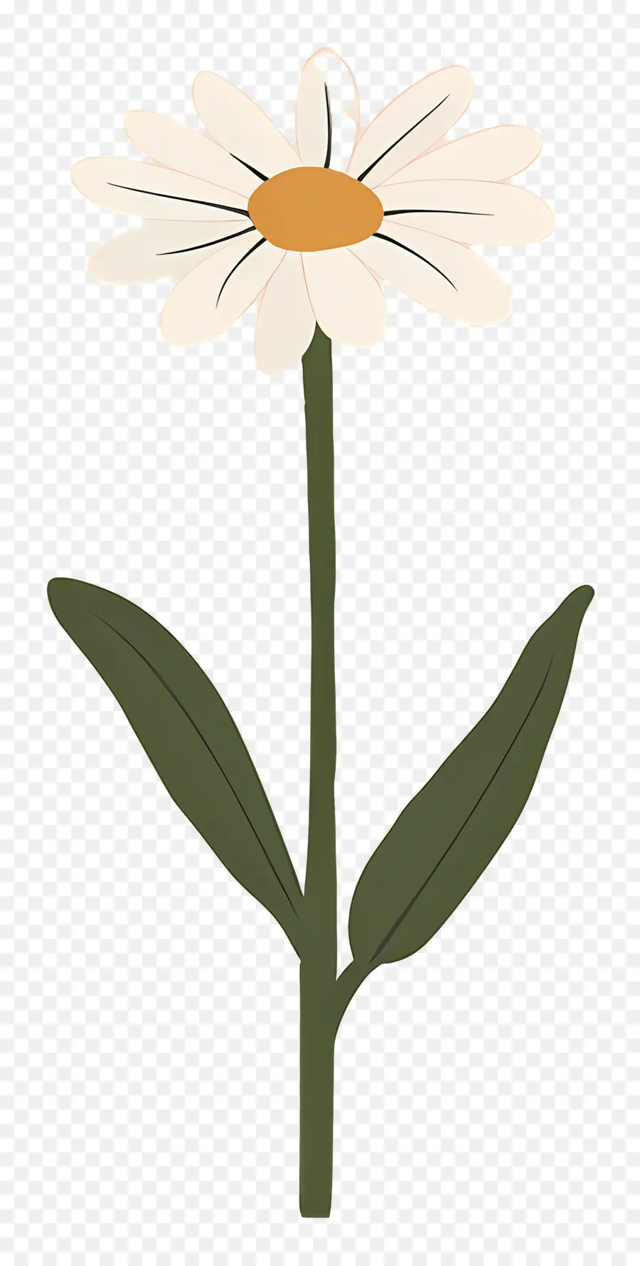 Fleur Unique，Marguerite Simple PNG