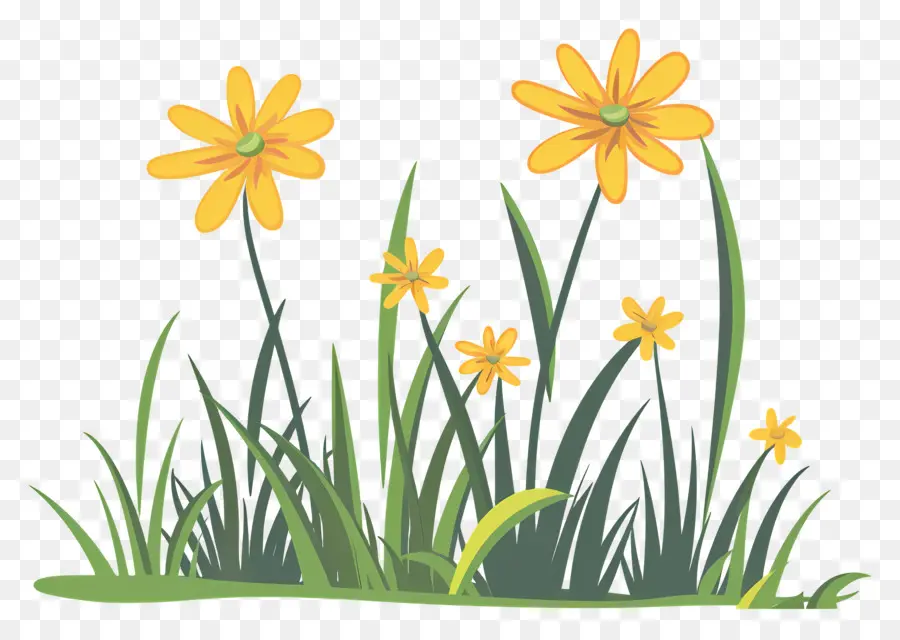 Fleur D'herbe，Fleurs Jaunes PNG