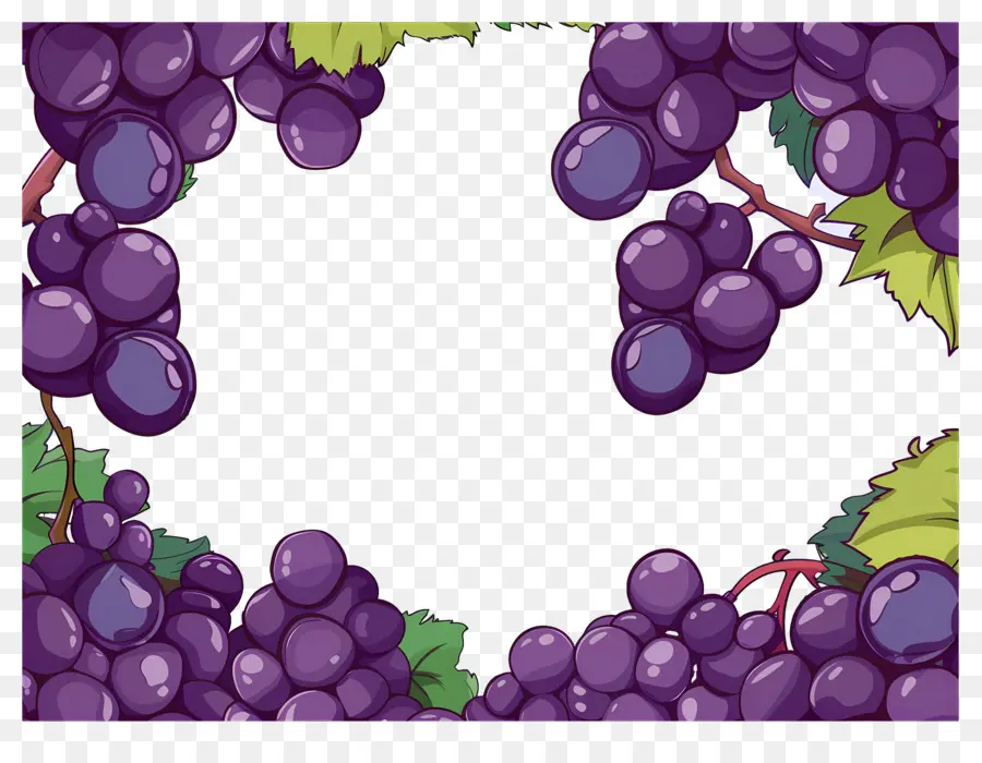 Bordure De Raisin，Raisins PNG