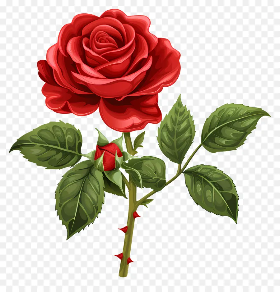 Rose Rouge，Feuilles PNG