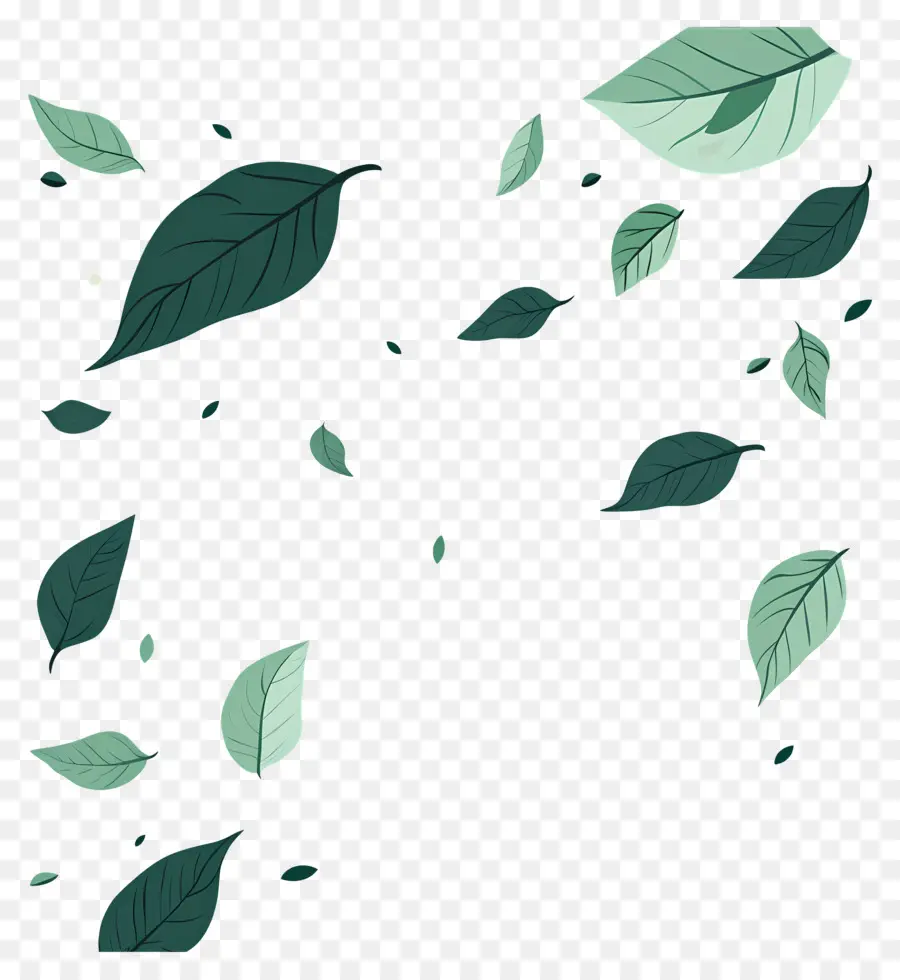 Feuilles Qui Tombent，Feuilles PNG