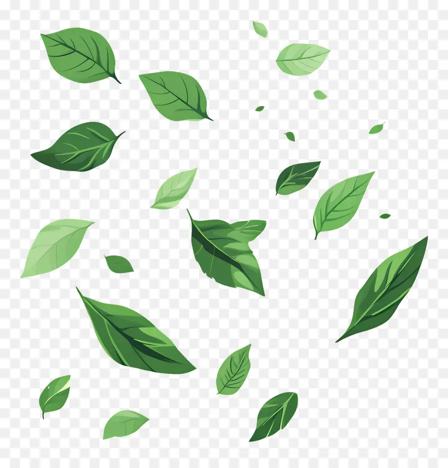 Feuilles Qui Tombent，Feuilles PNG