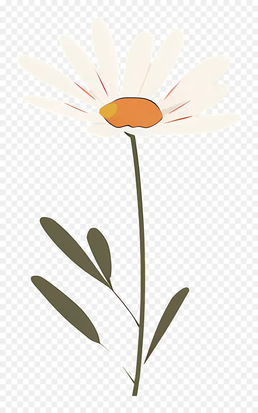 Fleur Unique，Marguerite Simple PNG