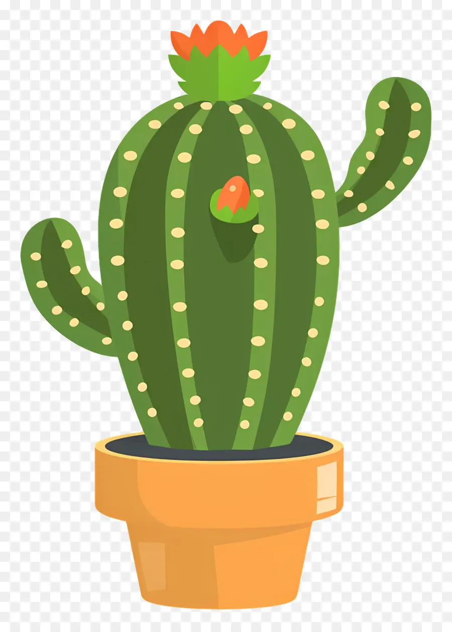 Cactus Vert，Cactus PNG