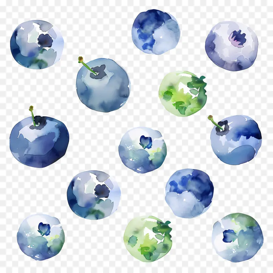 Bleuets Aquarelle，Bleuets PNG