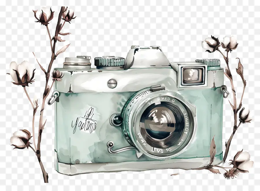 Appareil Photo Aquarelle，Appareil Photo Avec Du Coton PNG