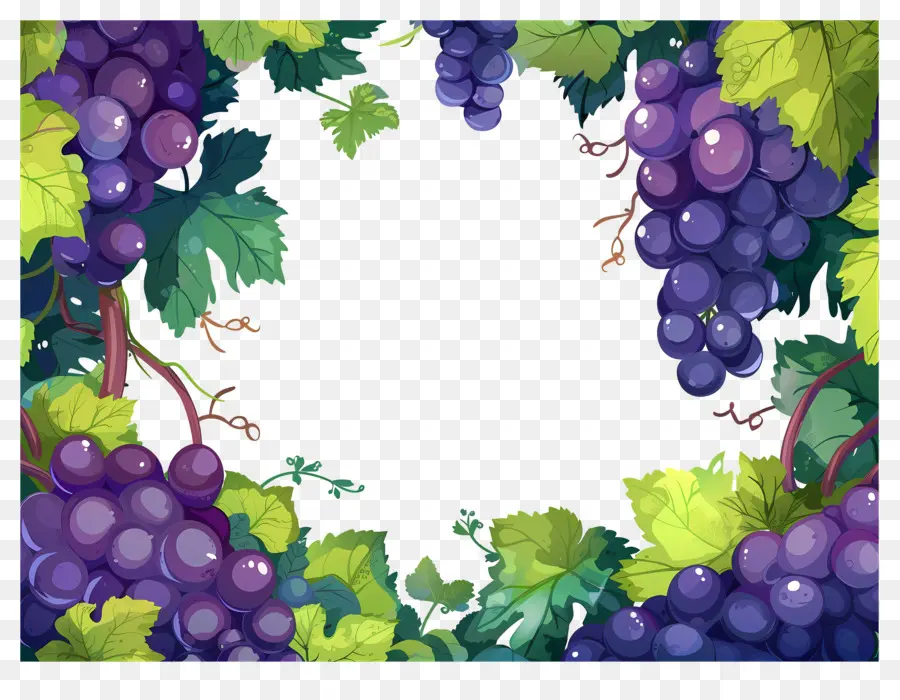 Bordure De Raisin，Raisins PNG