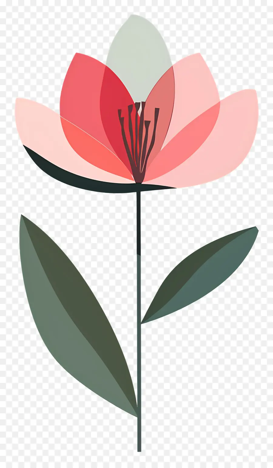 Fleur Unique，Fleur Colorée PNG