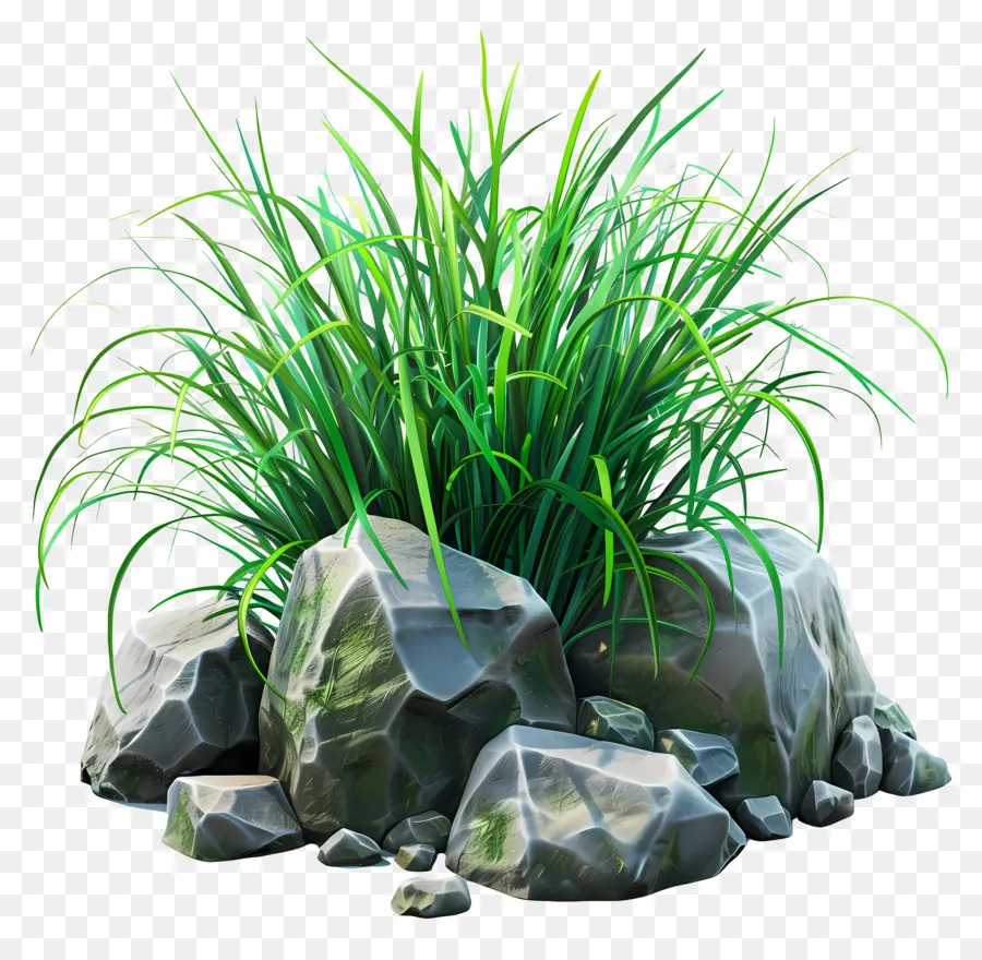 Plante D'herbe，Herbe Verte PNG