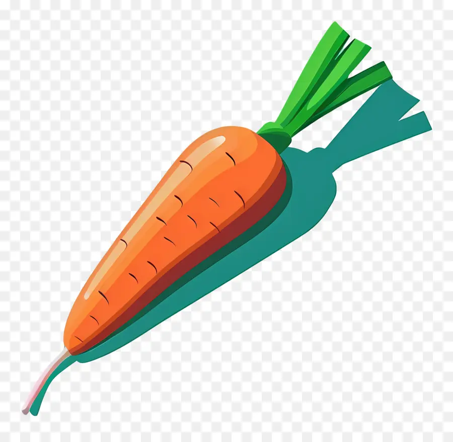 Carotte，Carotte Orange PNG