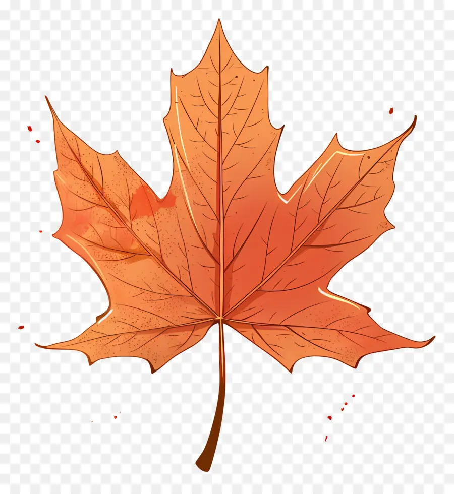 Feuille D'érable D'automne，Feuille D'automne PNG