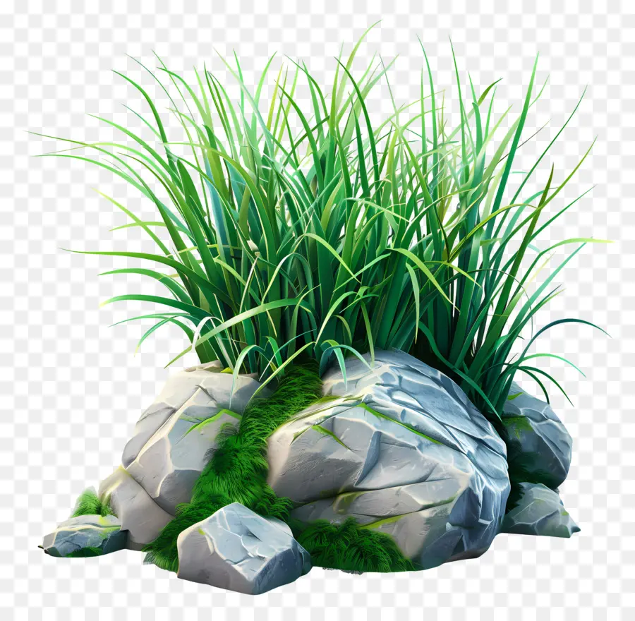 Plante D'herbe，Herbe Verte PNG