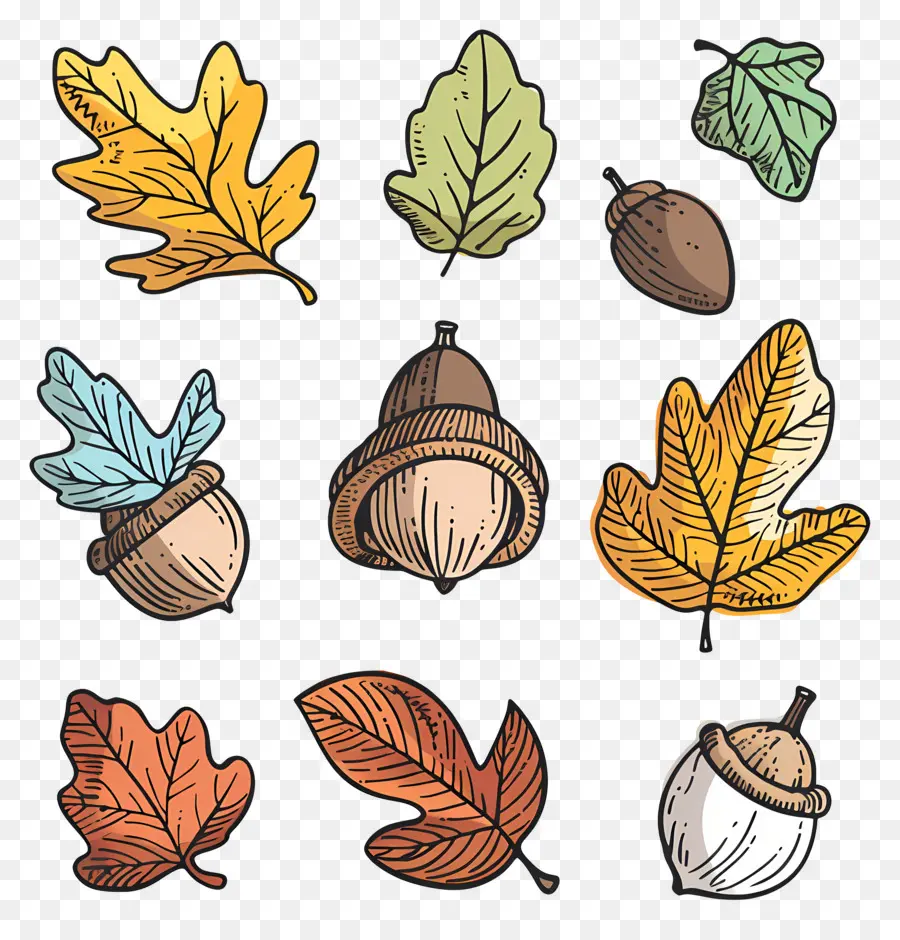 Feuilles D'automne，Feuilles Et Glands D'automne PNG