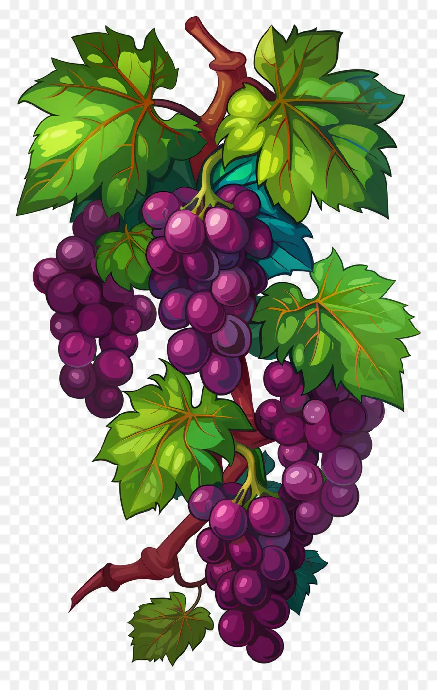 Vigne，Raisins Violets PNG