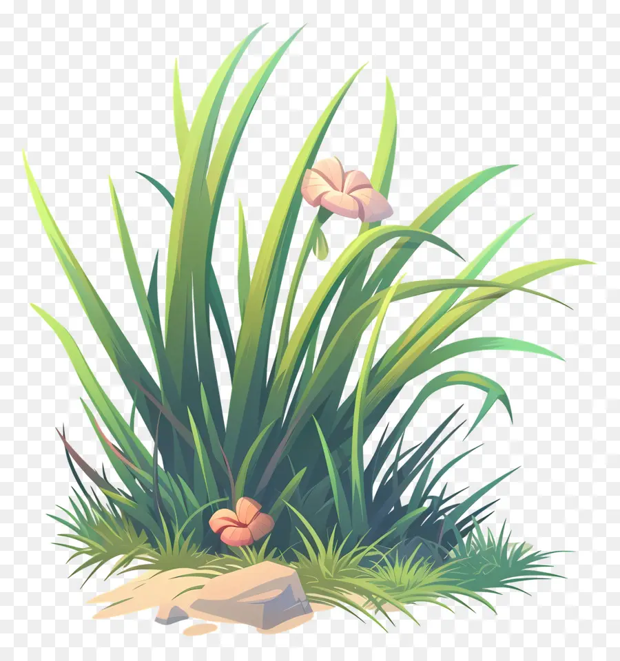 Fleur D'herbe，Herbe PNG