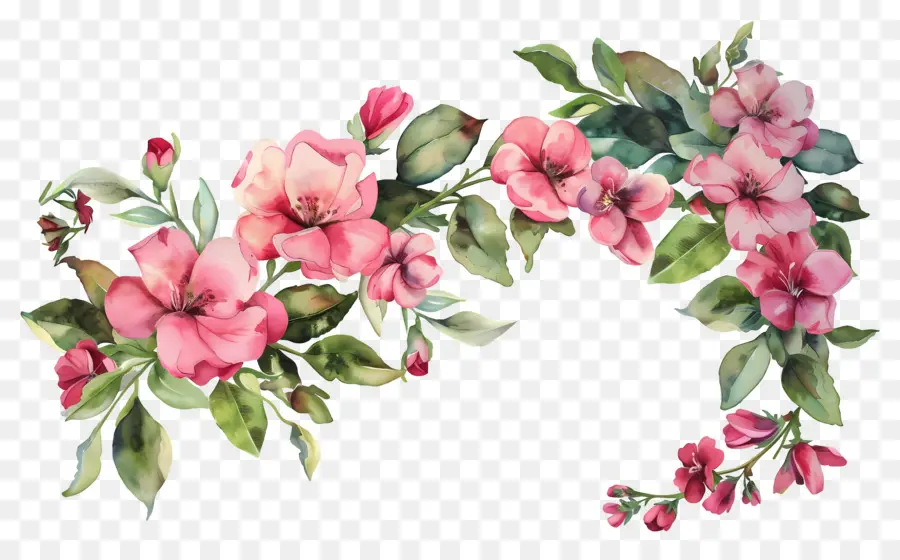 Fond De Fleurs Tropicales，Fleurs PNG