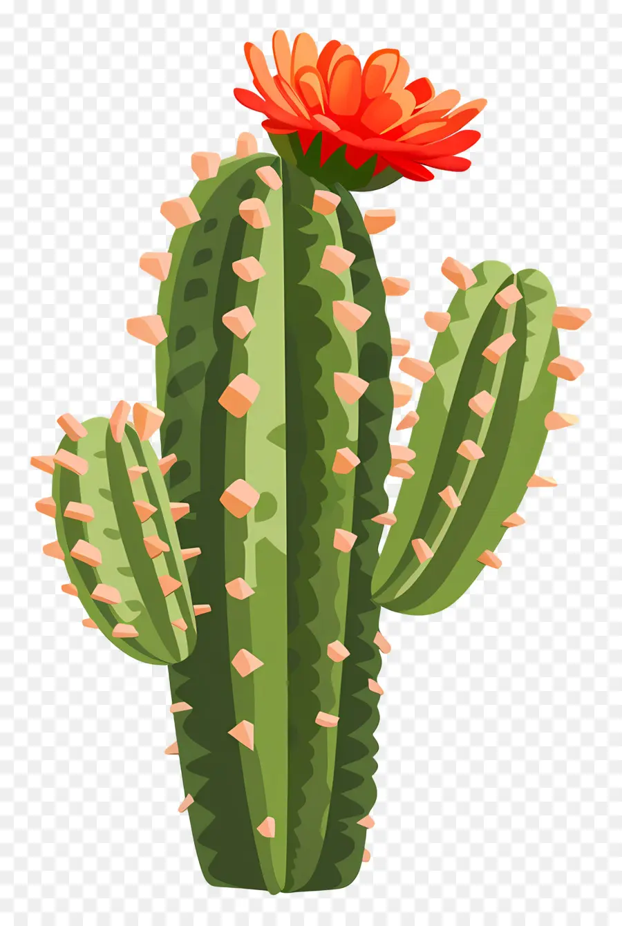 Cactus Vert，Cactus Avec Des Fleurs PNG