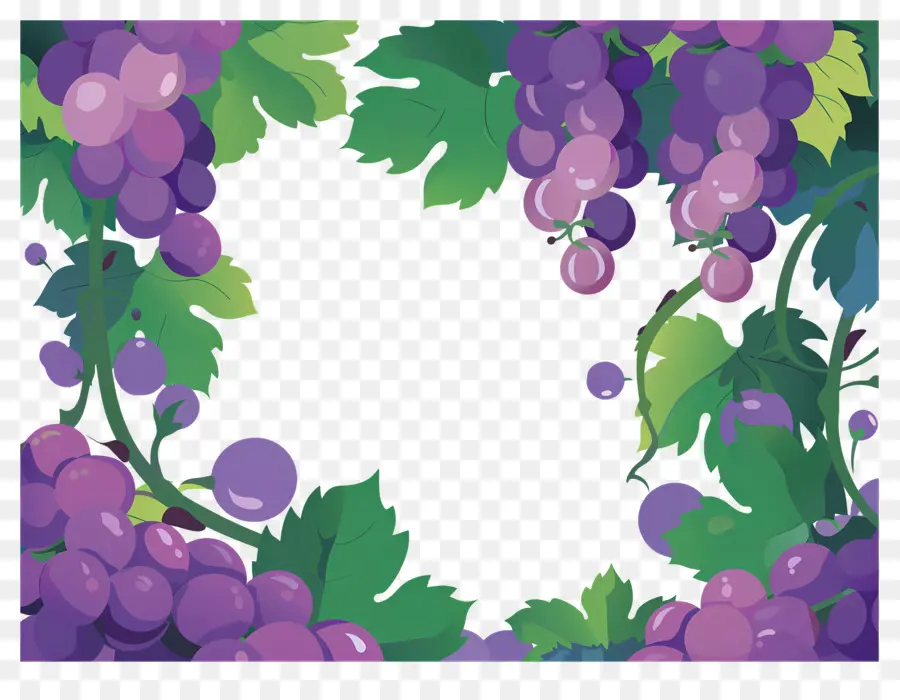 Bordure De Raisin，Raisins PNG