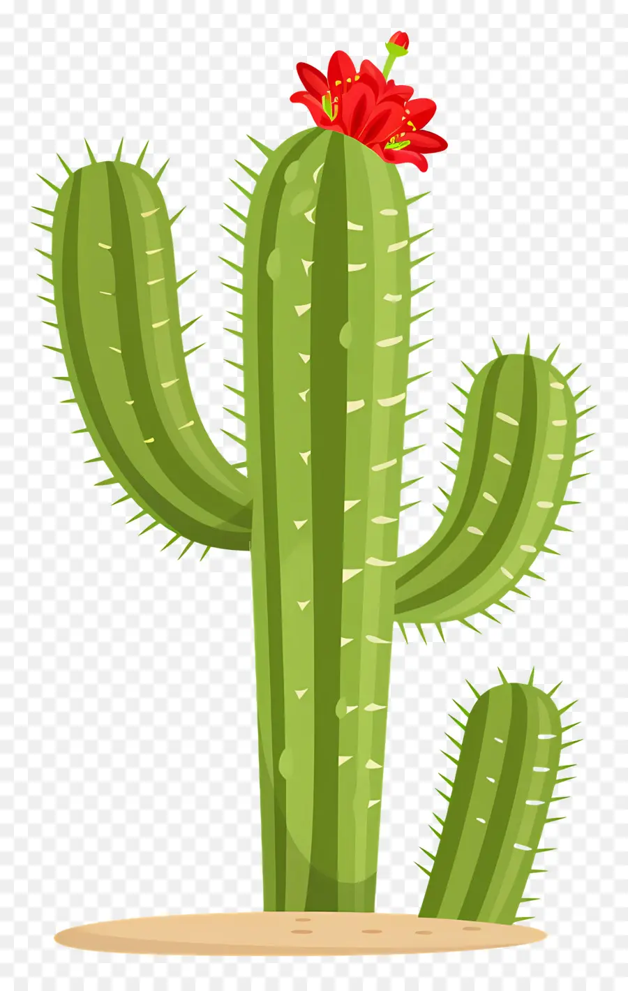 Cactus Vert，Cactus PNG