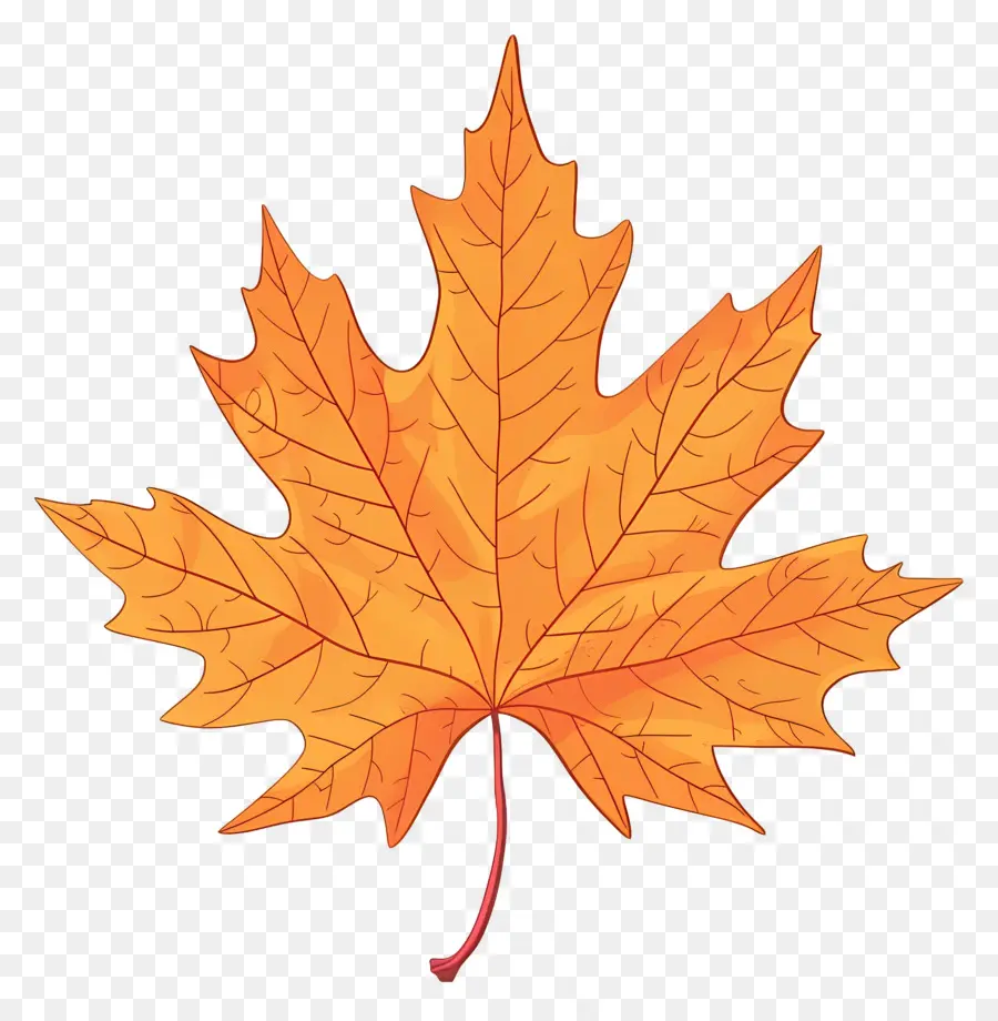 Feuille D'érable D'automne，Feuilles D'automne PNG