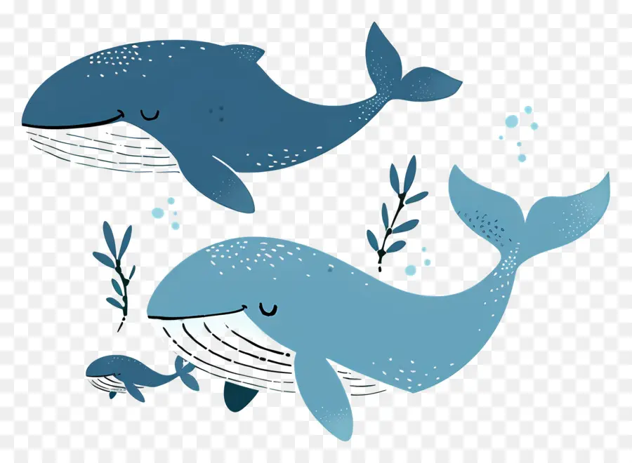 Jolie Baleine，Baleines PNG