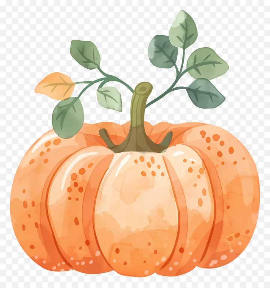 Citrouille Aquarelle，Citrouille Orange PNG