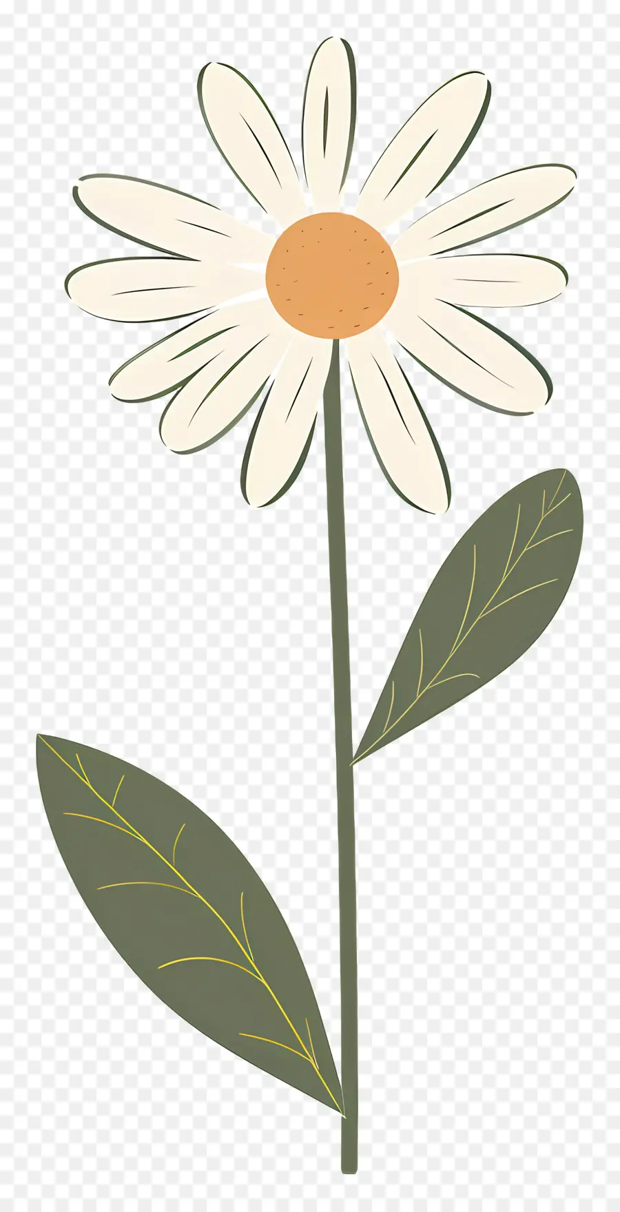 Fleur Unique，Marguerite Simple PNG