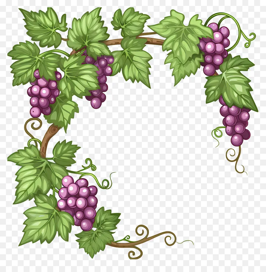 Vigne，Couronne De Raisin PNG