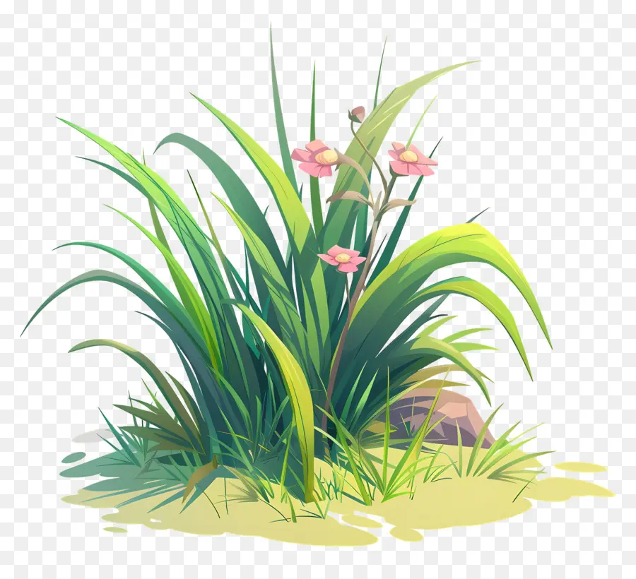 Fleur D'herbe，Herbe PNG