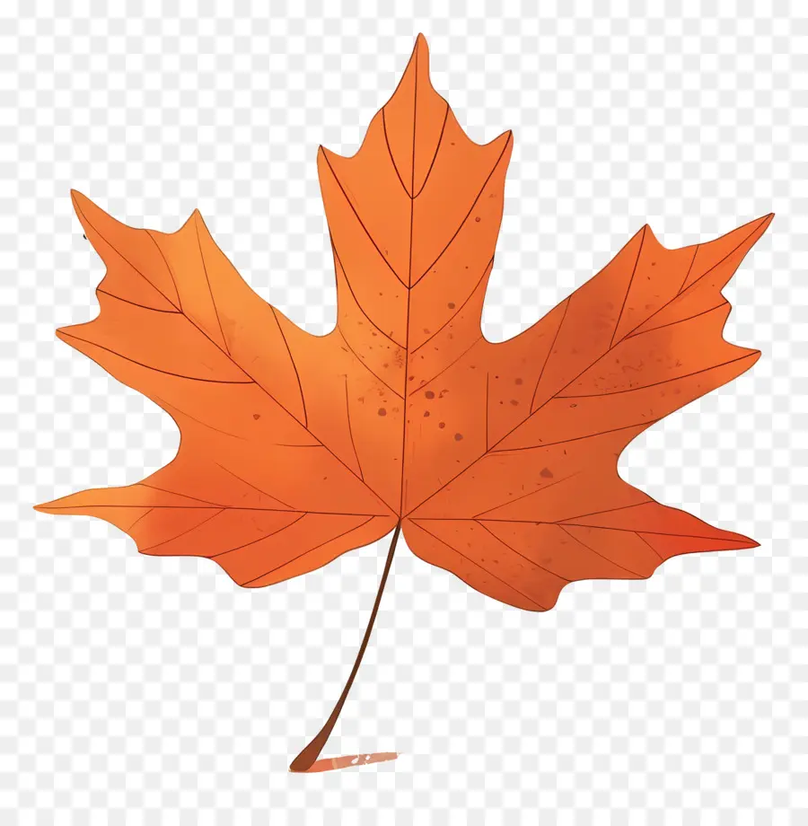 Feuille D'érable D'automne，Feuille D'oranger PNG