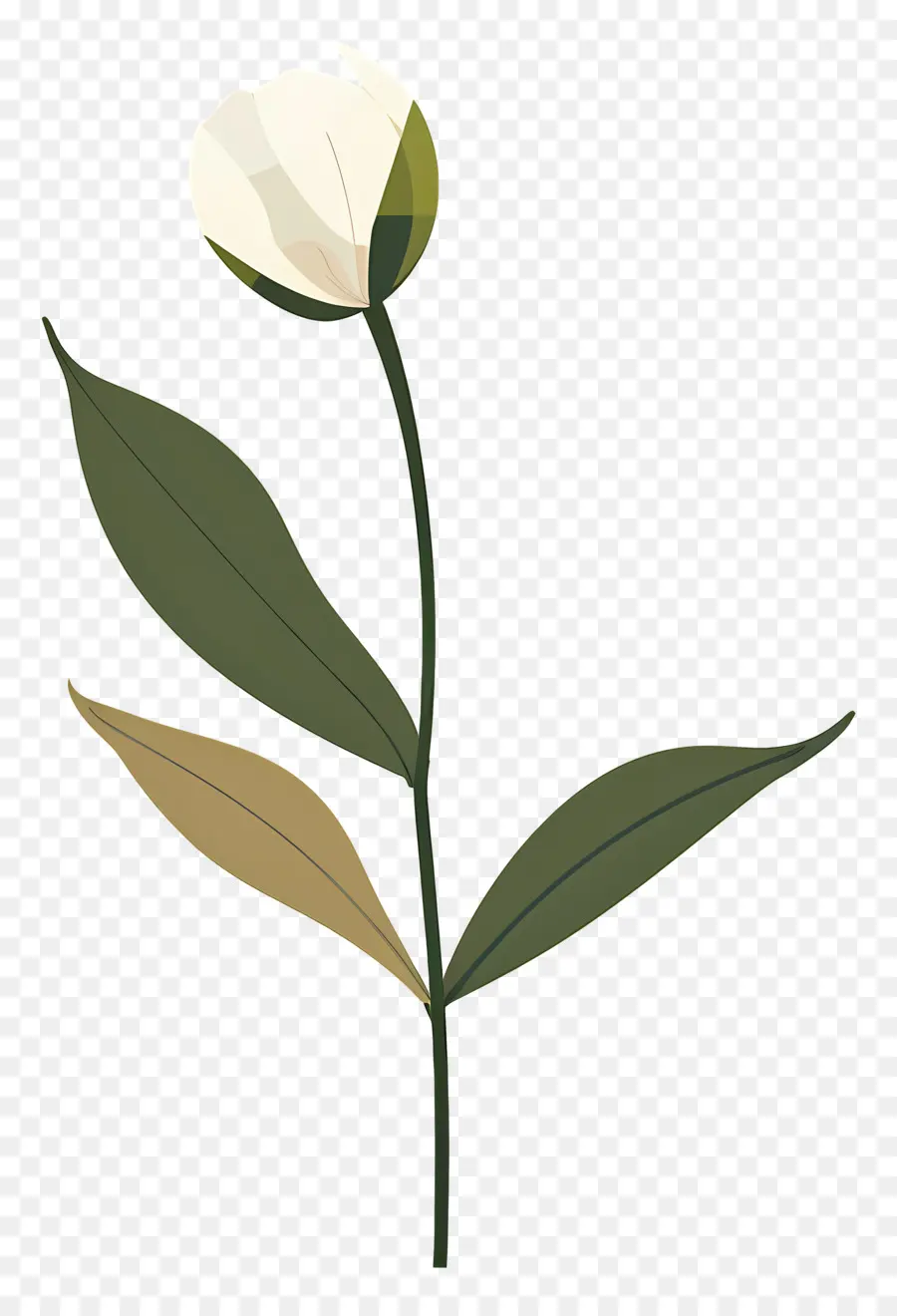 Fleur Unique，Fleur Blanche PNG