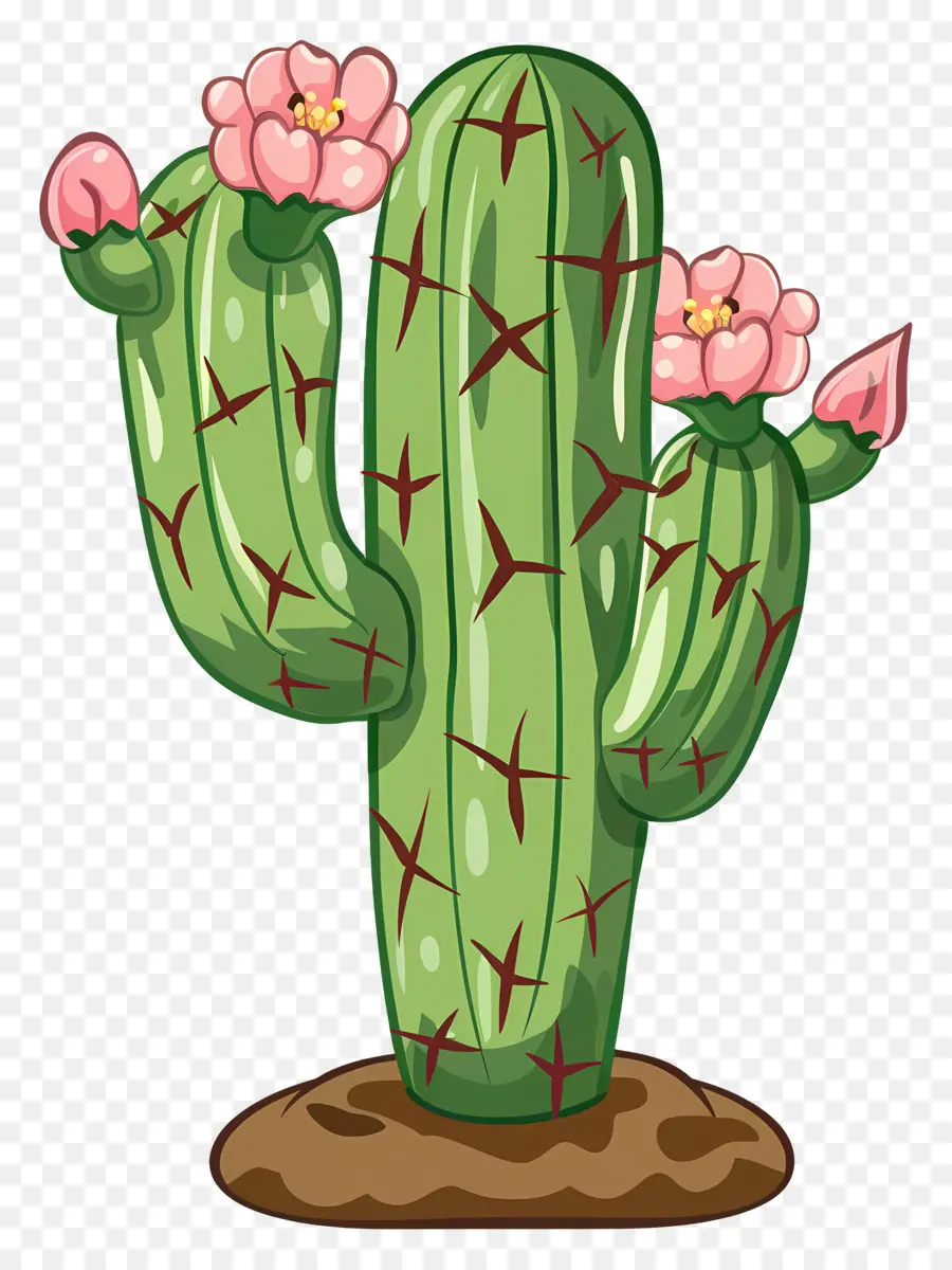 Cactus Vert，Cactus Avec Des Fleurs PNG