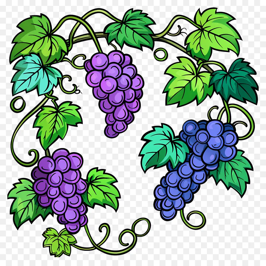 Vigne，Raisins PNG