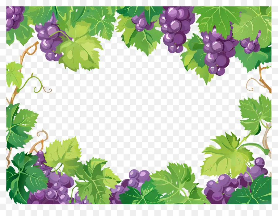 Bordure De Raisin，Raisins PNG