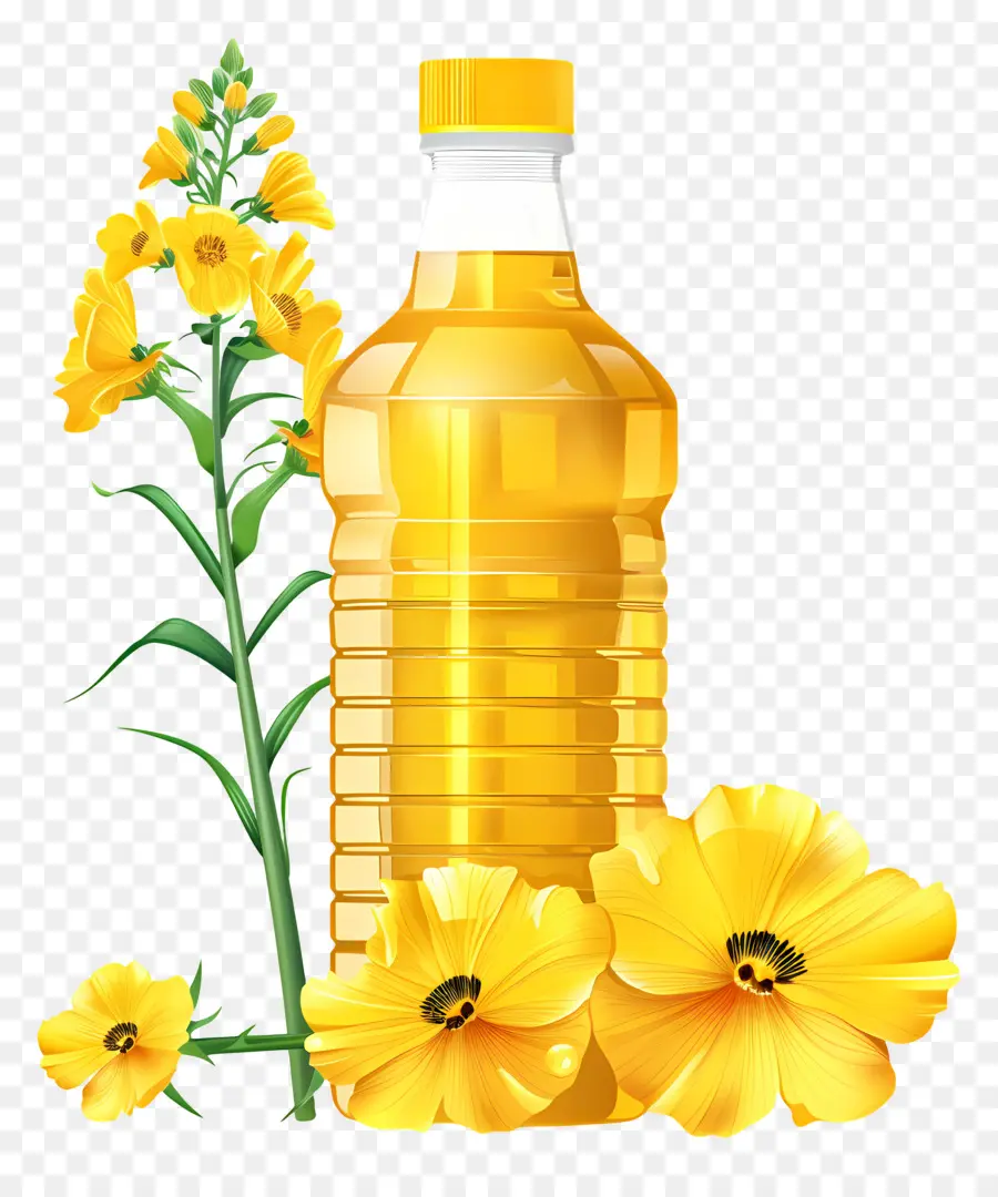 Huile De Canola，Bouteille D'huile PNG