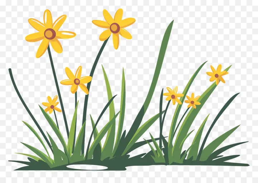 Fleur D'herbe，Fleurs Jaunes PNG