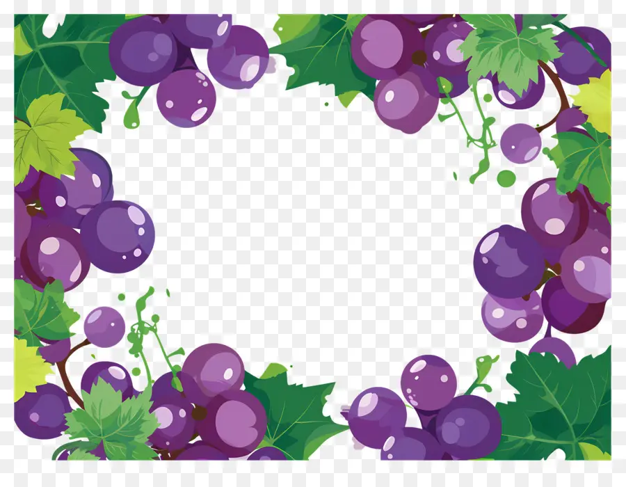 Bordure De Raisin，Cadre De Raisins PNG