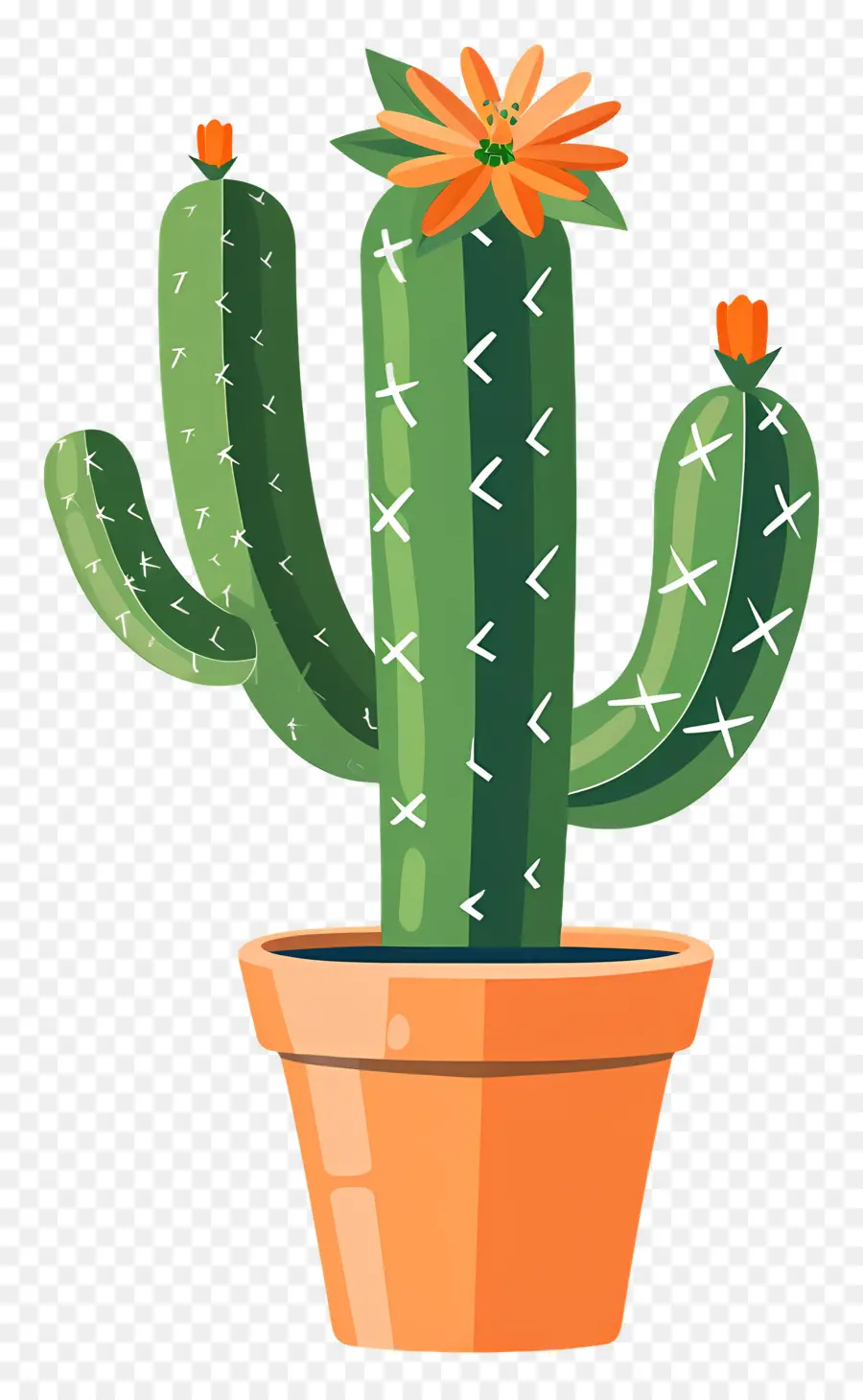 Cactus Vert，Cactus PNG