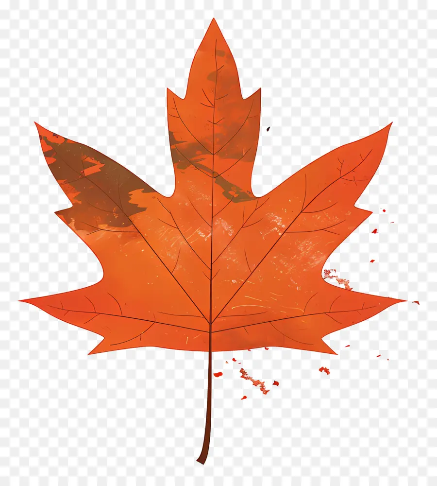 Feuille D'érable D'automne，Feuille D'automne PNG