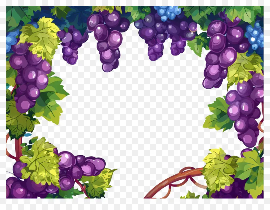 Bordure De Raisin，Raisins PNG